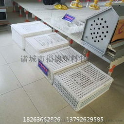 解析塑料鸡笼与周转筐，共探高效禽类养殖装备